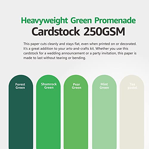 Green Colored Cardstock Thick Paper 50 Sheets