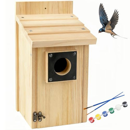 Wooden Bird Houses for Outside with Paint Set (4 Gram)