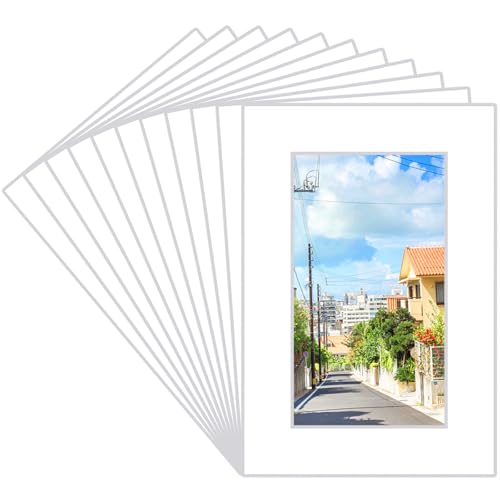 15 Pack 4x6 White Picture Mats (15 Count)