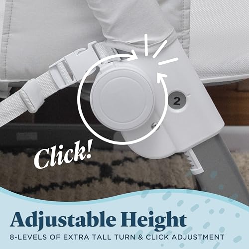 Beside Me Dreamer Bassinet