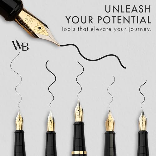 Luxury Fountain Pen Set for Writing