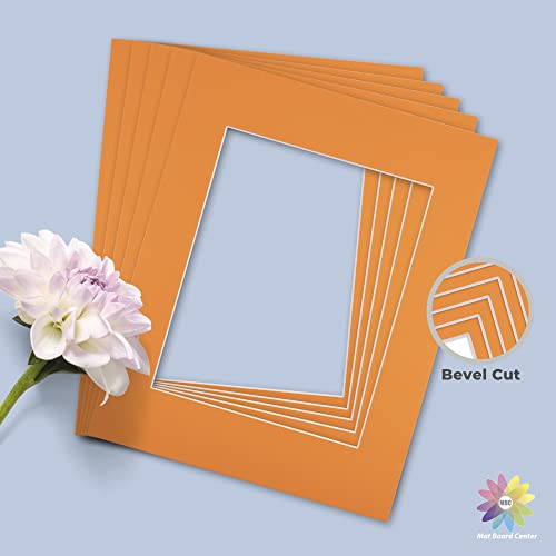 Mat Board Center 10 Pack 11x14 Photo Mats for 8x10 Picture (10 Count)