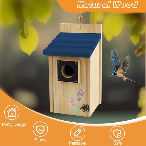 Wooden Bird Houses for Outside with Paint Set (4 Gram)