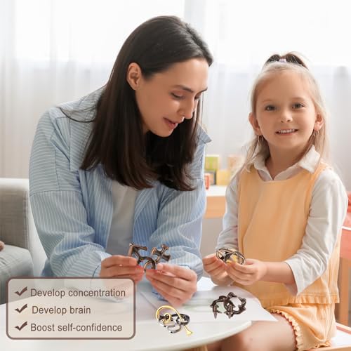 9 PCS Metal Brain Teaser Puzzles Disentanglement Puzzles Lock Puzzle Games Set Gift for Adults Teenagers Kids (72 Count)