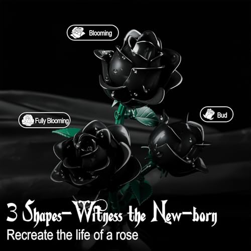 Black Roses Flower Building Set