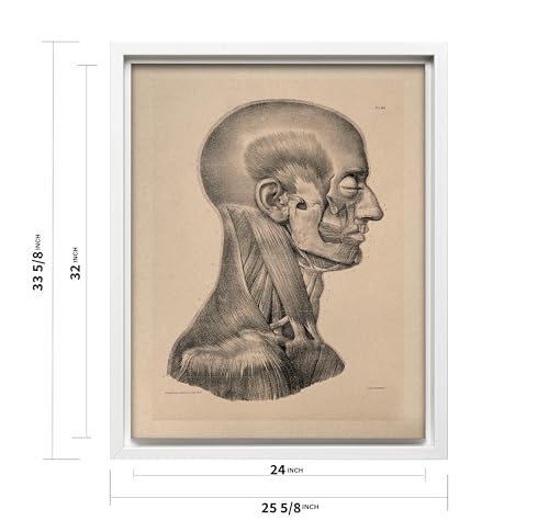 Vintage Science Canvas