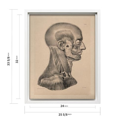 Vintage Science Canvas