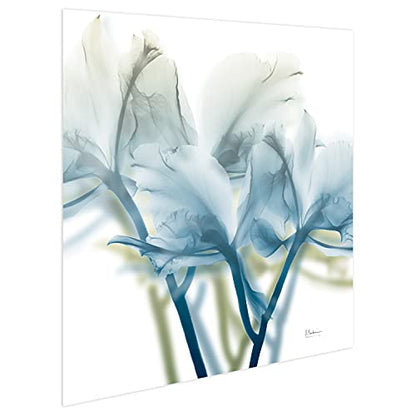 Frameless Free Floating Tempered Glass Panel Graphic Wall Art Ready to Hang