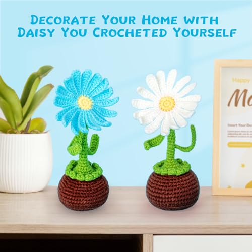 Crochet Kit for Beginners