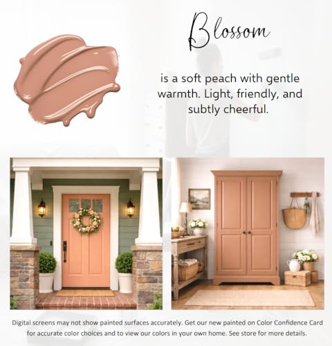 ALL-IN-ONE Paint by Heirloom Traditions, Blossom, Quart (32 Fl Oz)