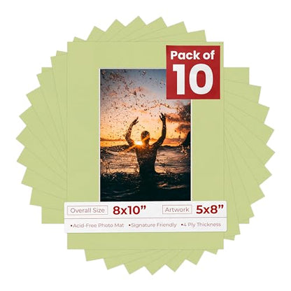 Pack of Ten Acid Free 8x10 Mats Bevel Cut for 5x8 Photos (10 Count)