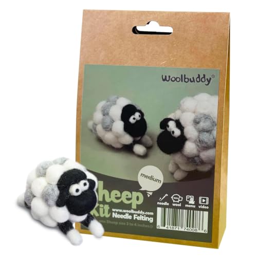 Needle Felting Starter Kit