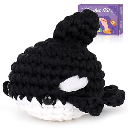 Crochet Kit for Beginners