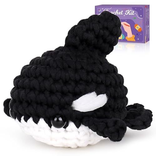 Crochet Kit for Beginners