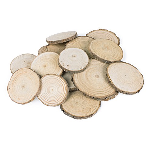 Mini Assorted Size Natural Color Tree Bark Wood Slices Round Log Discs for Arts & Crafts (20 Count)