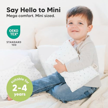 Mini Toddler Pillow with Pillowcase