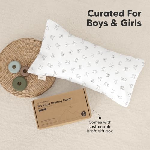 Toddler Pillow with Pillowcase