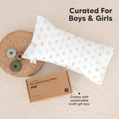 Toddler Pillow with Pillowcase