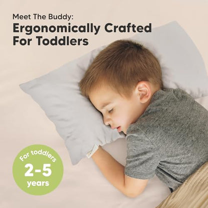 Toddler Pillow with Pillowcase
