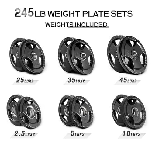 Olympic Rubber Grip Weight Plates