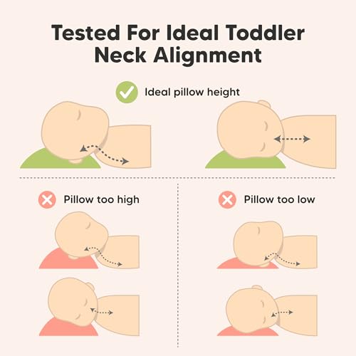 Toddler Pillow with Pillowcase