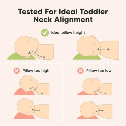Toddler Pillow with Pillowcase