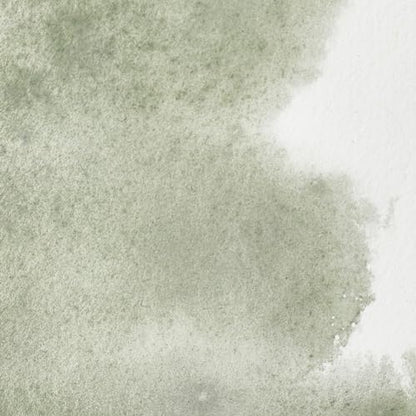 Professional Watercolor