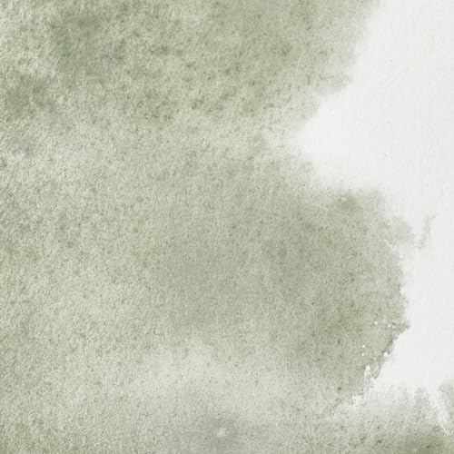Professional Watercolor