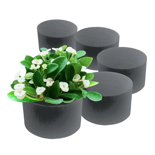 Floral Foam Blocks