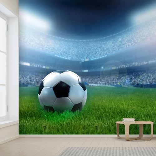 Close Up of a Football Ball on a Full Stadium Removable Wall Mural