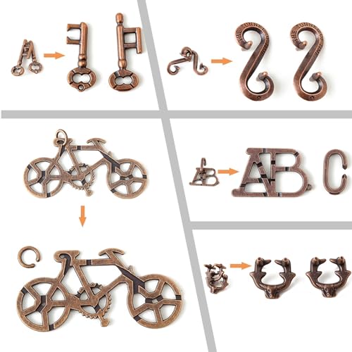 Brain Teaser Puzzles (5 Count)