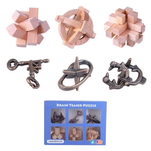 Brain Teaser Puzzle for Adults Puzzles Metal Hole Lock Adult Educational Toy Jigsaw IQ Puzzle（6 Pack） (6 Count)