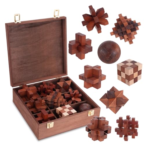 Wooden Brain Teaser Puzzles for Adults Teens (9 Count)