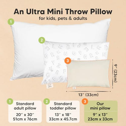 Mini Toddler Pillow with Pillowcase
