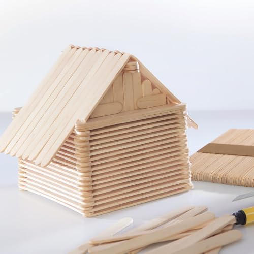 1000 Pcs Popsicle Stick (1000 Count)