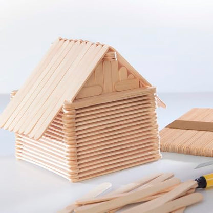 1000 Pcs Popsicle Stick (1000 Count)