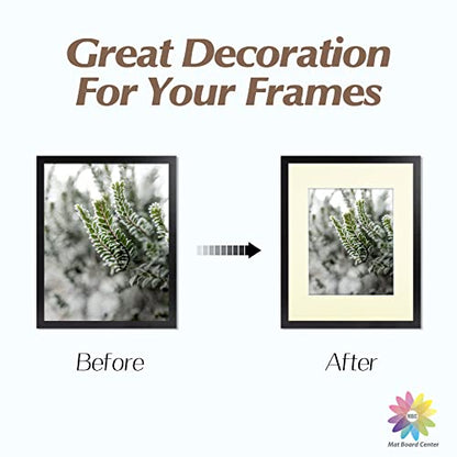Mat Board Center 10 Pack 11x14 Photo Mats for 8x10 Picture (10 Count)
