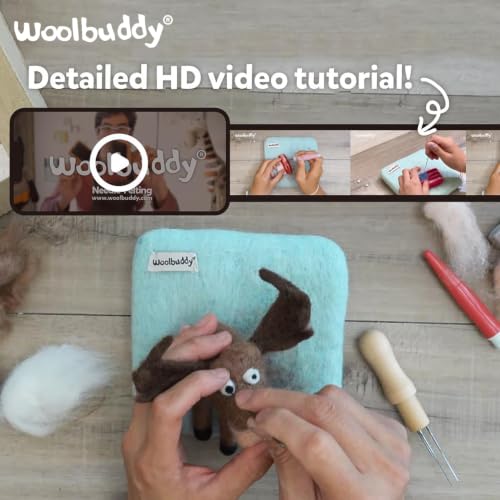 Needle Felting Starter Kit