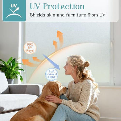 Frosted Window Privacy Film with Tools
