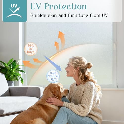 Frosted Window Privacy Film with Tools