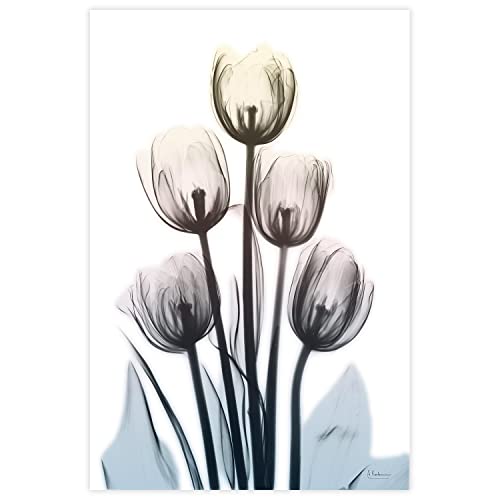 48"x32" Frameless Tempered Glass Wall Art