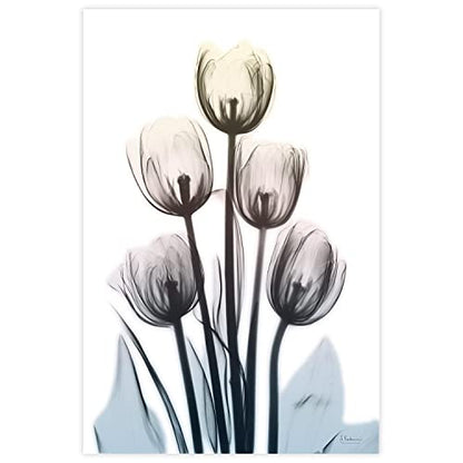 48"x32" Frameless Tempered Glass Wall Art