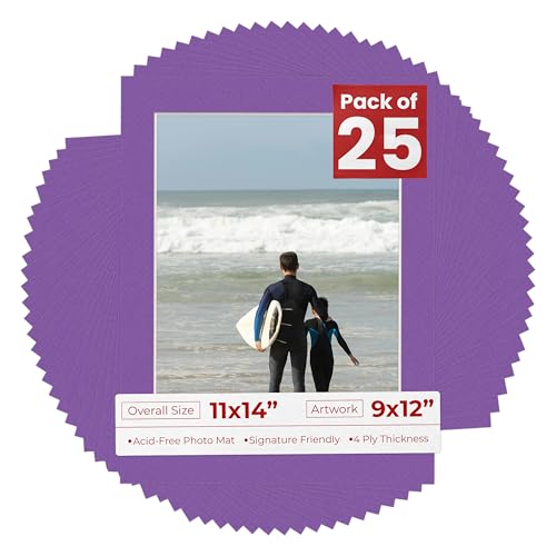 Pack of 25 Acid Free 11x14 Mats Bevel Cut for 9x12 Photos (25 Count)