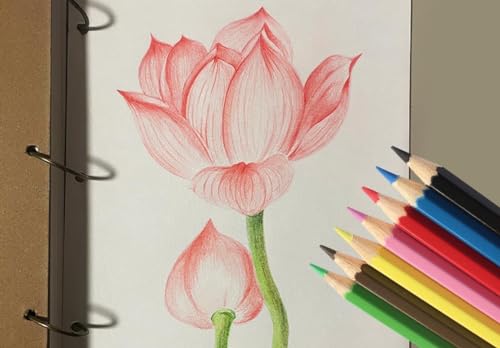 Colored Pencils (144 Count)