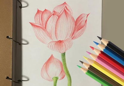 Colored Pencils (144 Count)