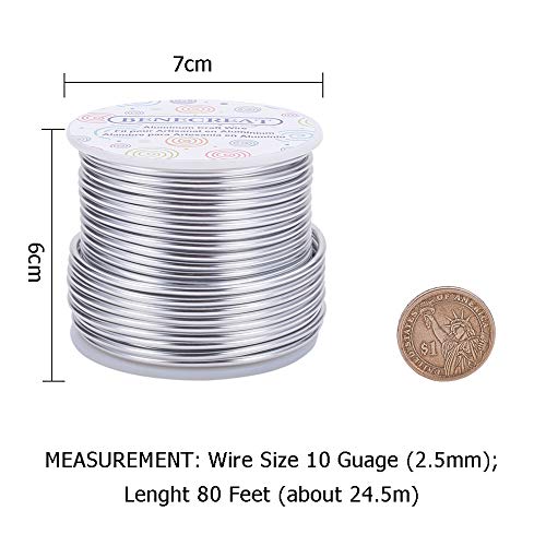 10 Gauge Jewelry Craft Aluminum Wire 80 Feet Bendable Metal Sculpting Wire for Wedding Craft Floral Model Skeleton Making (80 Foot)