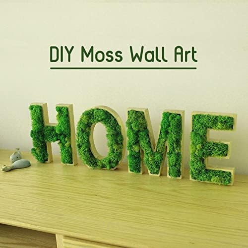 Preserved Reindeer Craft Moss Natural Green DIY Kit Gardenning Art Wall Decor Florist Easter Table Decor Wedding Decor