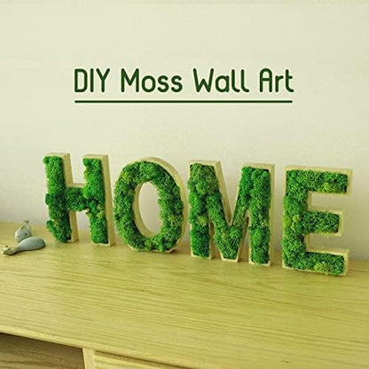 Preserved Reindeer Craft Moss Natural Green DIY Kit Gardenning Art Wall Decor Florist Easter Table Decor Wedding Decor