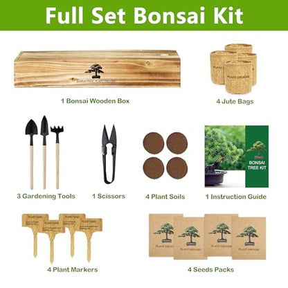 Bonsai Tree Kit
