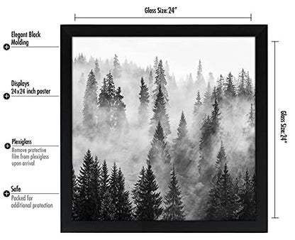 24x24 Poster Frame